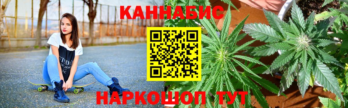 Марихуана план  Вход с VPN  Сокол  Каннабис планчик  Каннабис THC 21%  Бошки Шишки тримм 